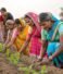 Embracing Innovation: FPOmade’s Role in Advancing Agricultural Practices